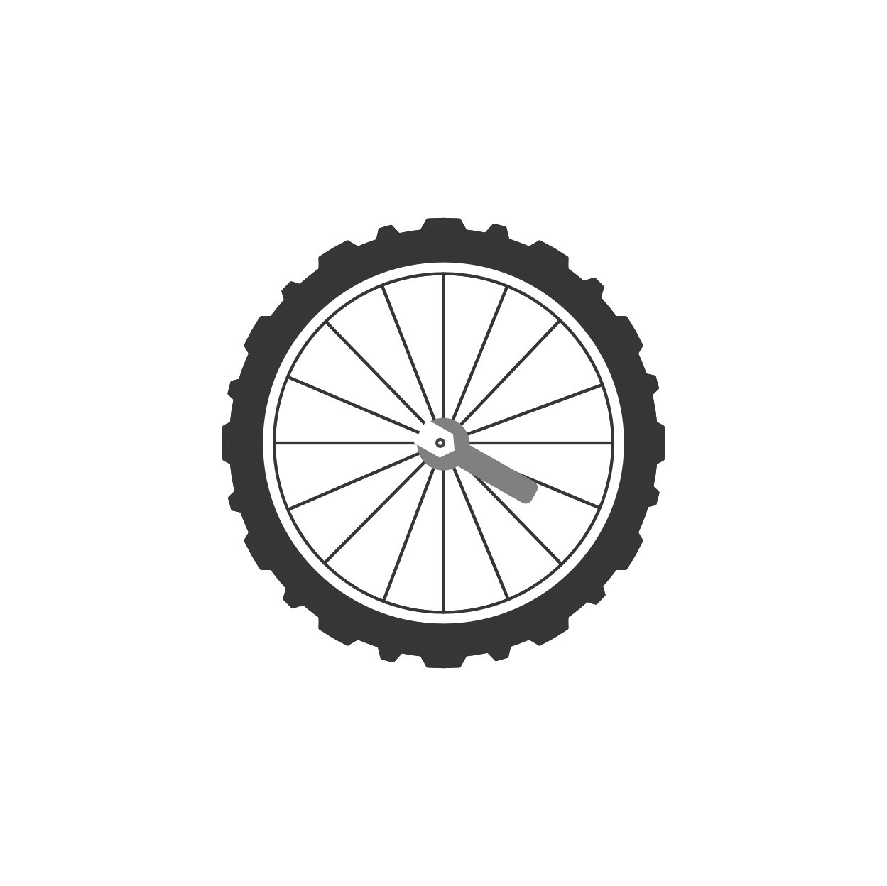 used Pair of handmade mountain bike wheels on Jpracingbike1